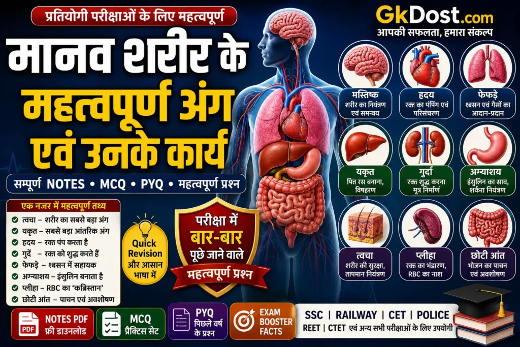 मानव शरीर के महत्वपूर्ण अंग एवं उनके कार्य Notes PDF MCQ PYQ | Brain, Heart, Lungs, Liver, Kidney Notes Hindi